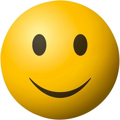 MEINL Face Shaker Happy Face
