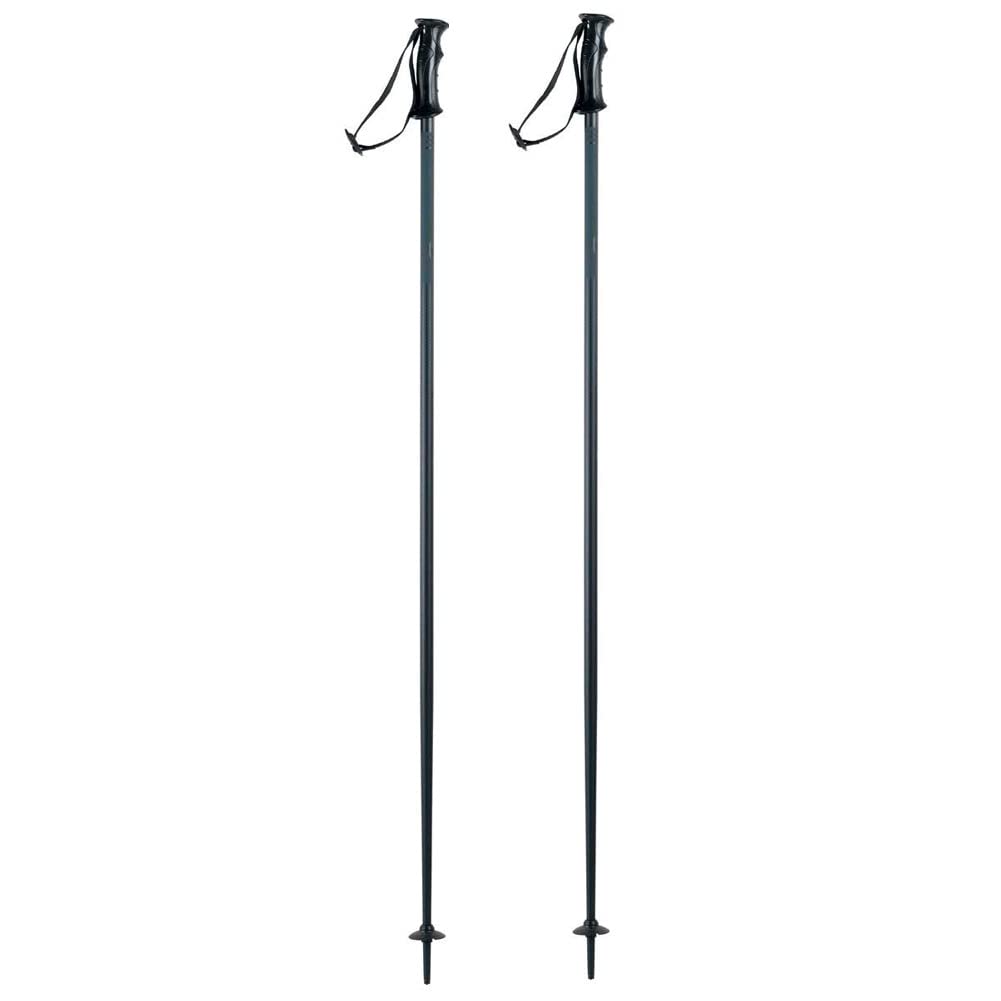 alpine-ski-poles