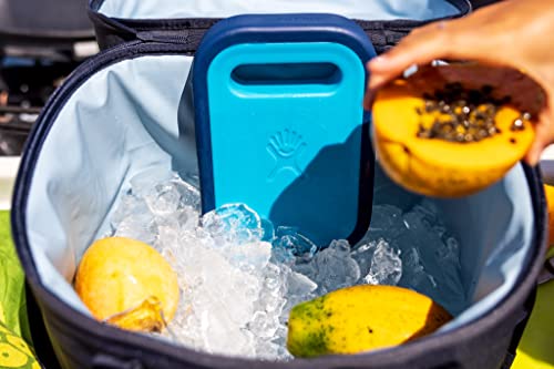 Hydro Flask Small Ice Pack