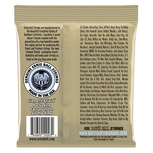 Ernie Ball 2003 Earthwood Medium Light Acoustic Guitar Strings (12-54)