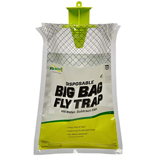 home-pest-control-traps
