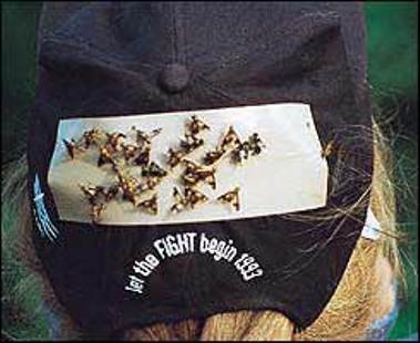 4/PK TredNot Deerfly Patches / Deer Fly Patch /  Repellent Alternative