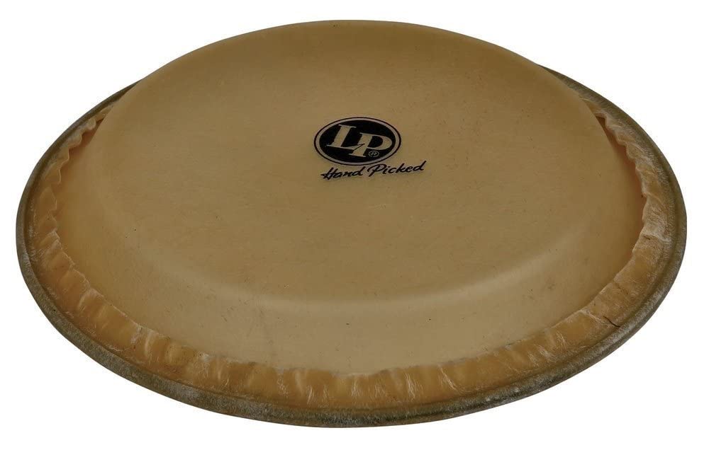 congas