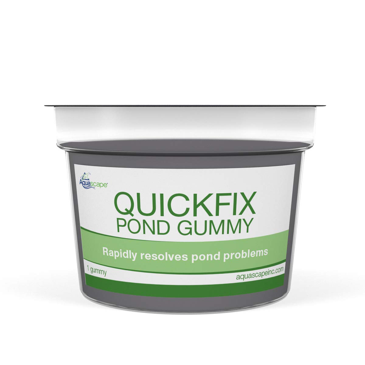 pond-water-treatments