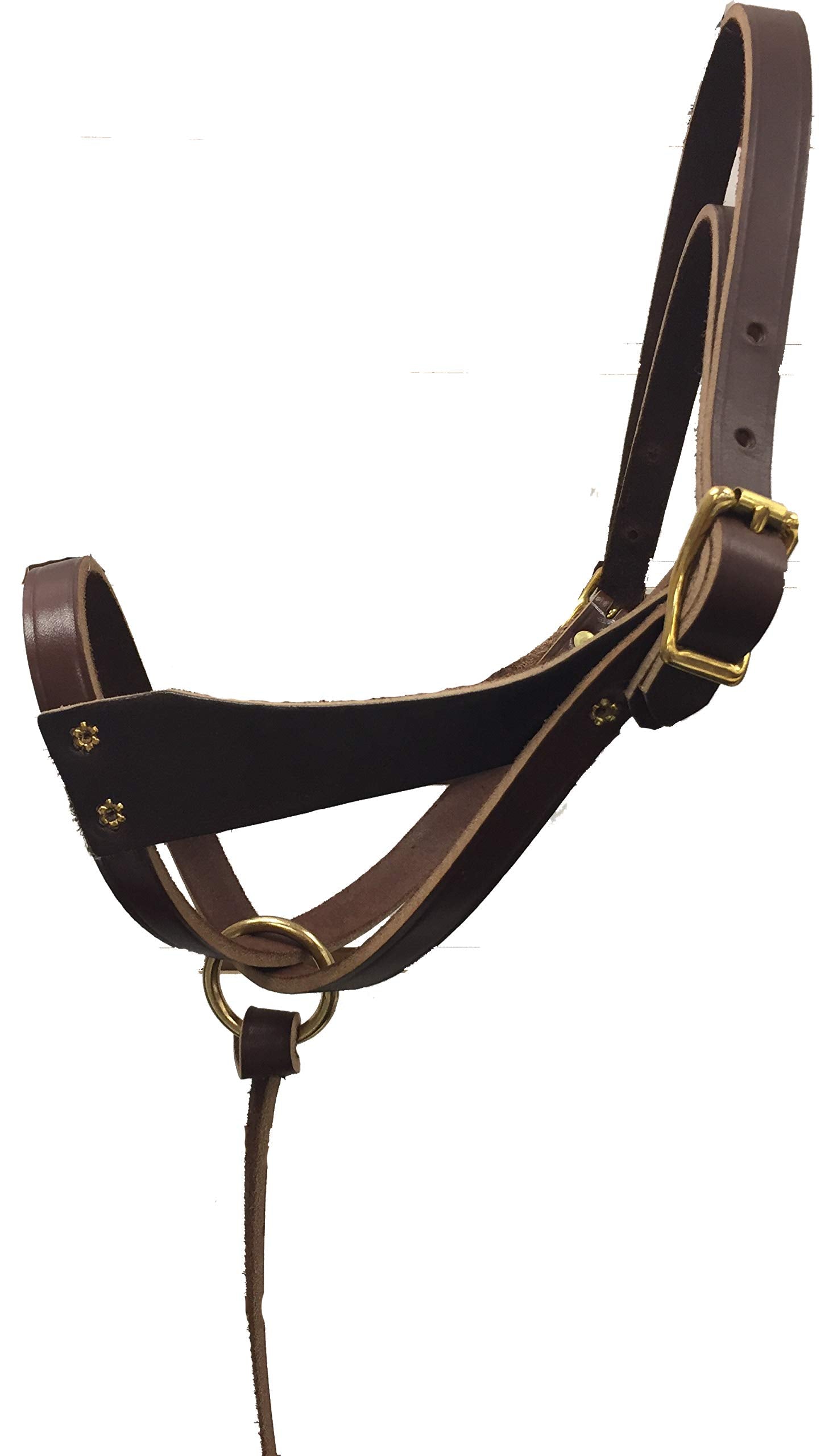 horse-halters