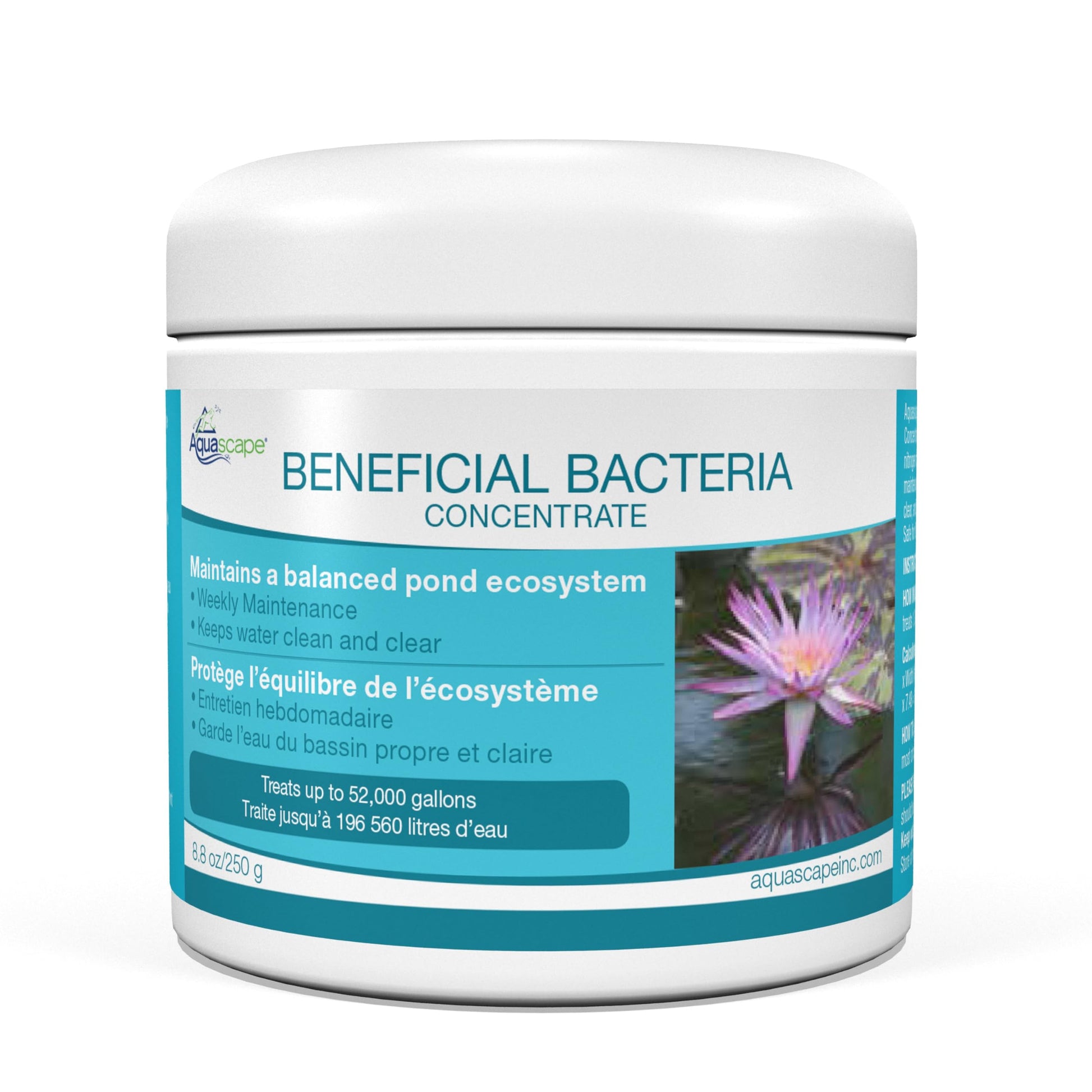 pond-water-treatments