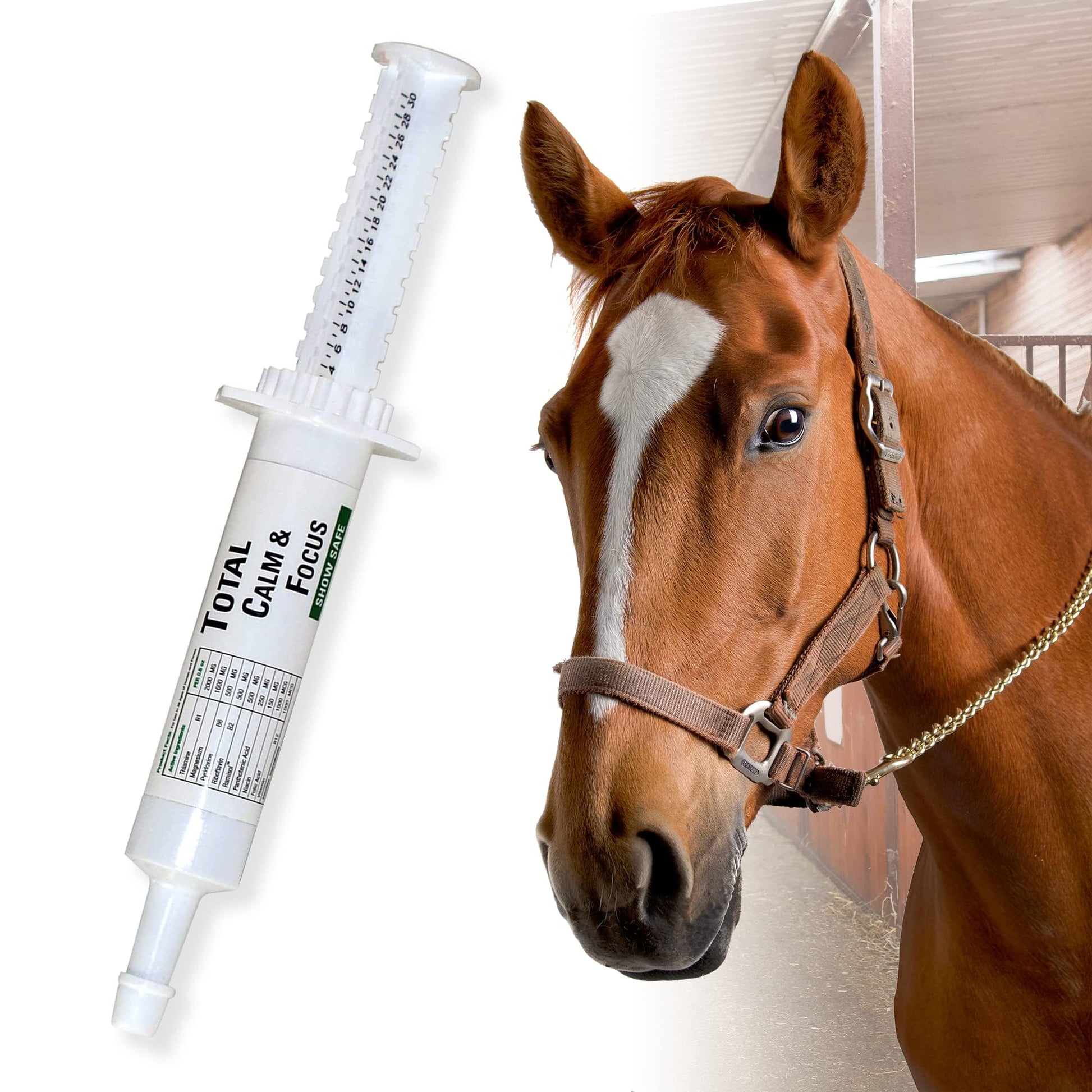 horse-calming-supplements
