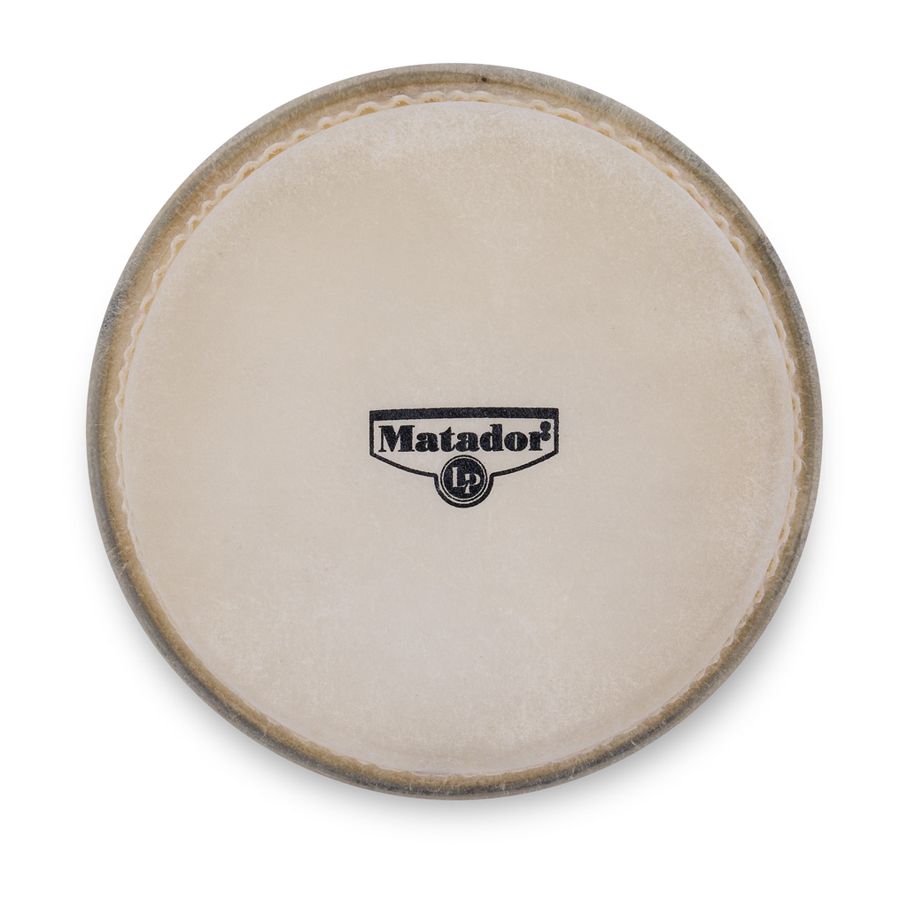 Small Mounted Bongo Head