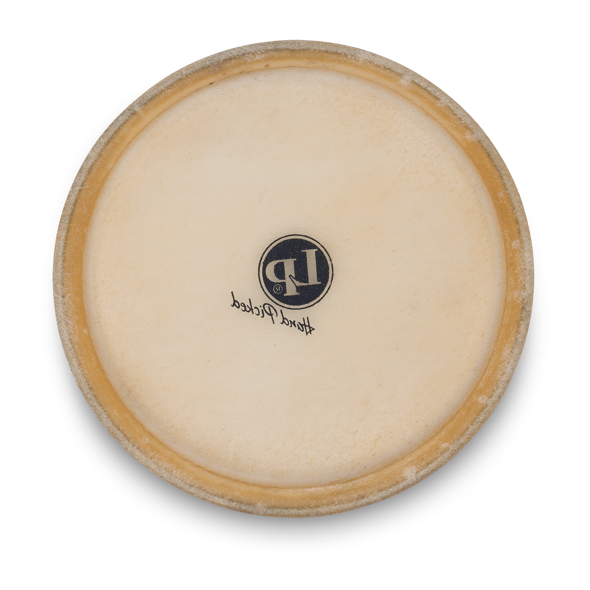 Rawhide Bongo Head, 8-5/8″