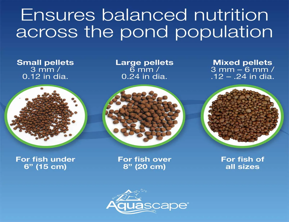 Premium Staple Fish Food Pellets