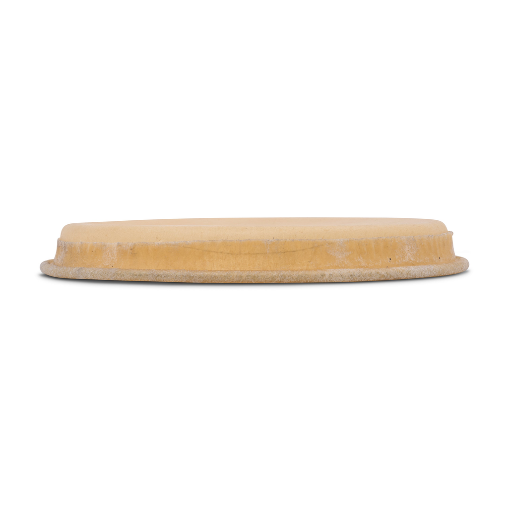 Rawhide Bongo Head, 8-5/8″